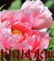 许昌预示你财运上升，姻缘可成的梦境，快来看看吧！