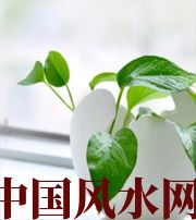 许昌家中摆放六种吉祥物，会打开您的财运大门！