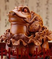 许昌解读金蟾最合适的位置，这样摆放更招财！