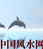 许昌做梦梦到这些，是要富裕的征兆！